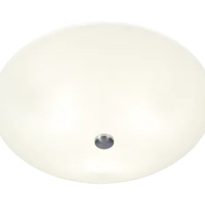 Iglo Plafond 42 Vit